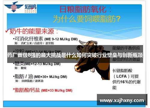 药厂晋级8强的最大挑战是什么如何突破行业壁垒与创新瓶颈 药厂晋级8强的最大挑战是什么如何突破行业壁垒与创新瓶颈