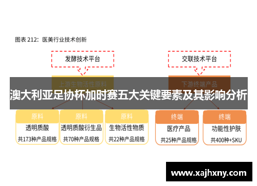 澳大利亚足协杯加时赛五大关键要素及其影响分析