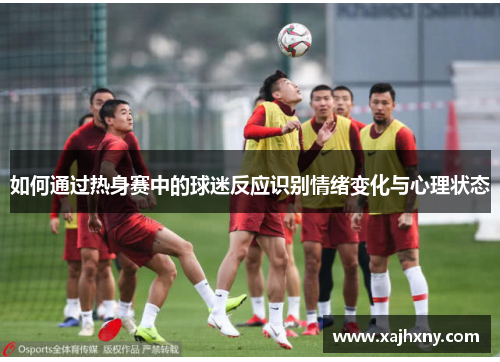 如何通过热身赛中的球迷反应识别情绪变化与心理状态